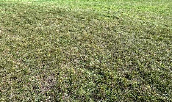 Działka budowlana Truskaw