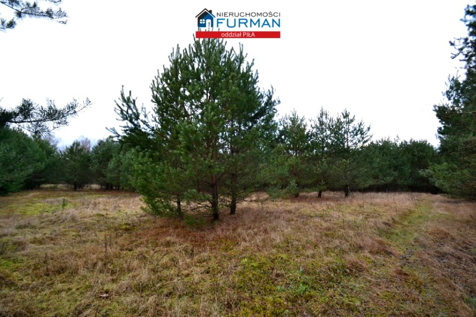 Działka budowlano-rolna Okonek