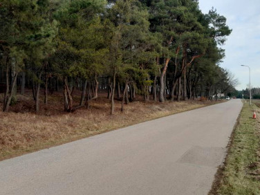 Działka budowlana Skrzeszew sprzedam