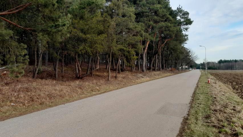 Działka budowlana Skrzeszew sprzedam