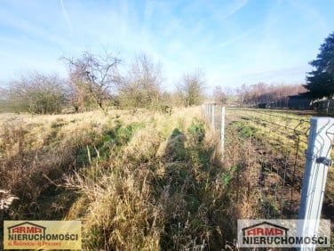 Działka budowlana Witkowo Drugie