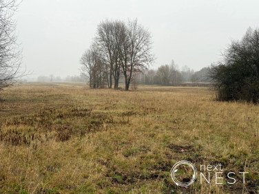 Działka inna Turowice