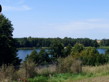 Działka rolna Chalno