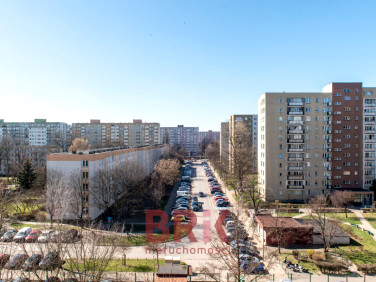 Mieszkanie przy lesie