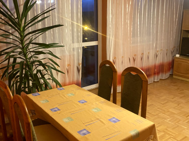 Mieszkanie Gryfów Śląski