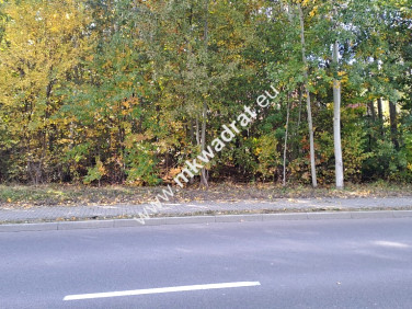 Działka budowlana Wyględy