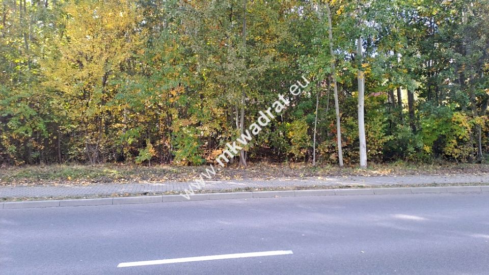 Działka budowlana Wyględy