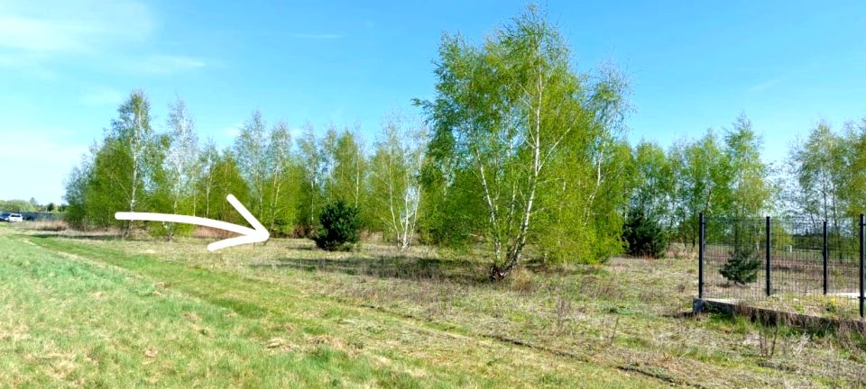 Działka budowlana Barcice Drwalewskie