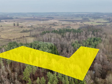 Działka leśna Boreczno