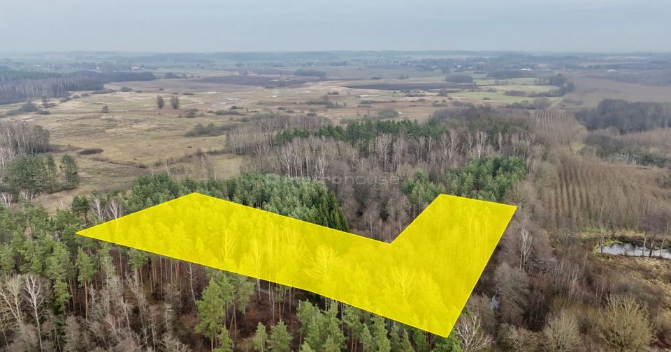 Działka leśna Boreczno