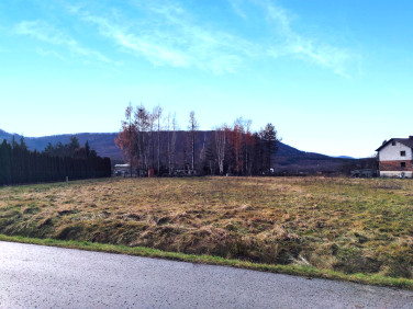 Pusta działka Czaniec