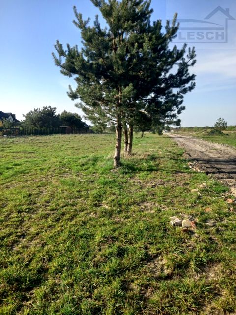 Działka budowlana Rusiec