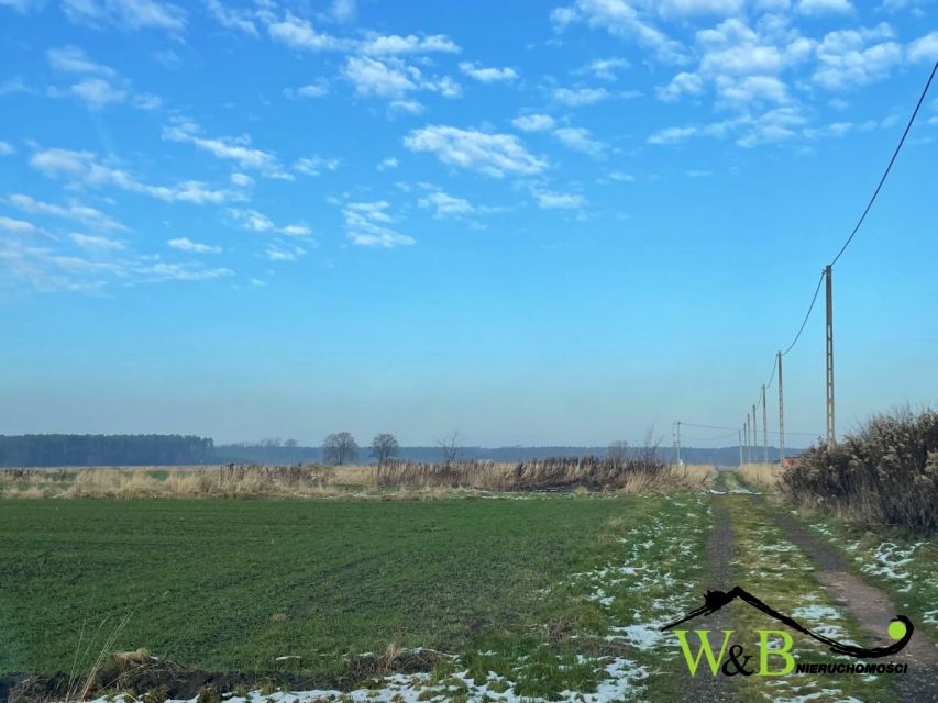 Działka inna Połomia