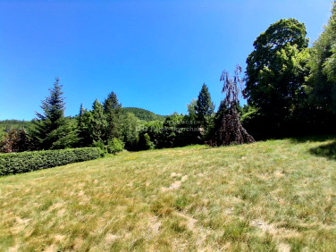 Działka budowlana sprzedam