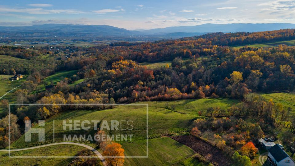 Działka Trzetrzewina
