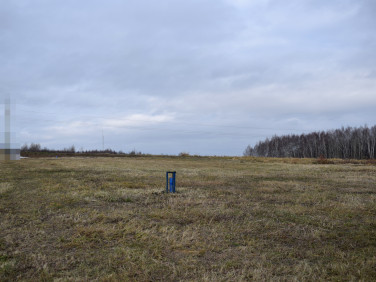 Działka budowlana Wola Rafałowska