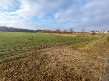 Działka Dębogórze