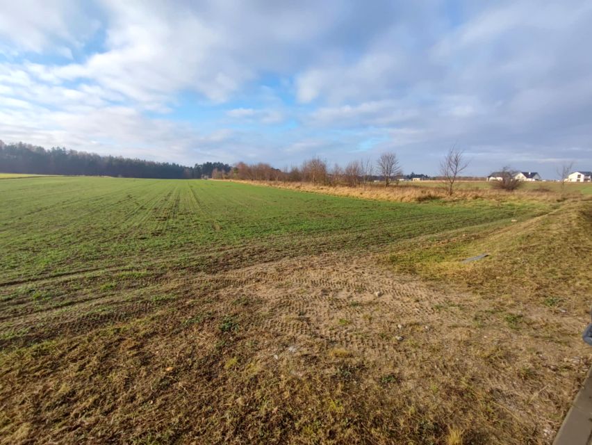 Działka Dębogórze