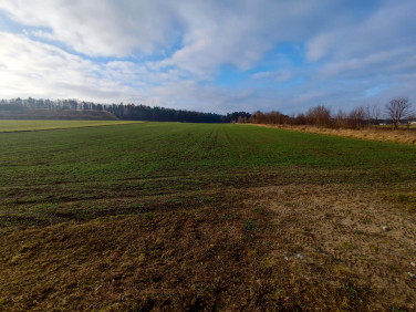 Działka Dębogórze