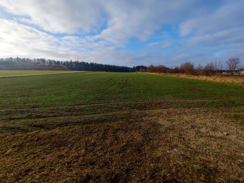 Działka Dębogórze