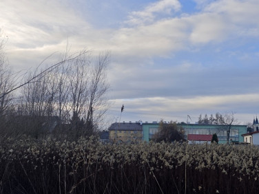 Działka budowlana Wierzbin