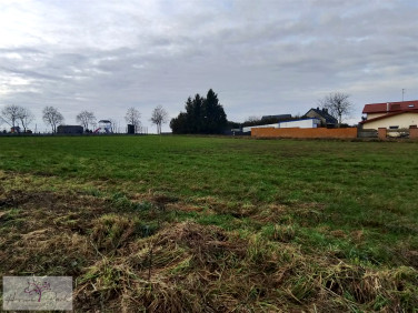 Działka budowlana Kudrowice