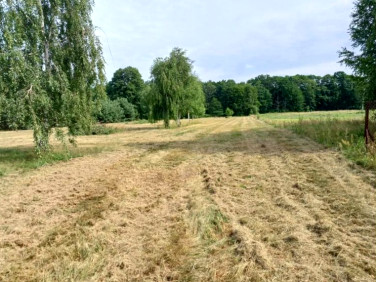 Działka budowlana Bednary