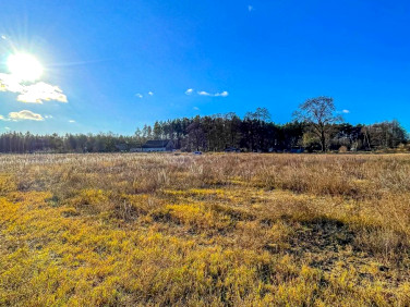 Działka siedliskowa Piła