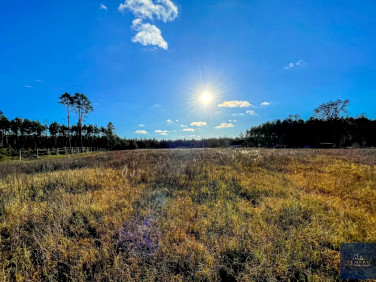 Ogrodzona działka Piła