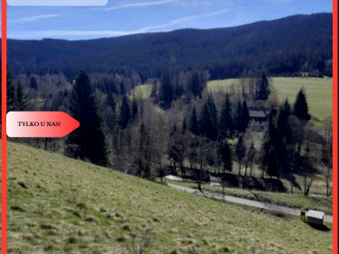 Działka budowlana sprzedam