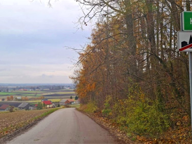 Działka budowlana Kępa