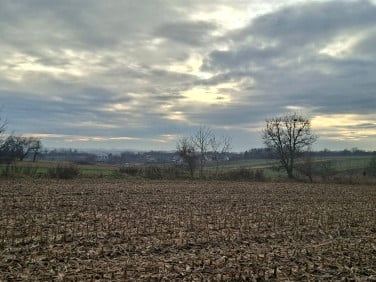 Działka budowlana Morawica