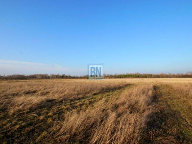 Działka usługowa Pyskowice sprzedam