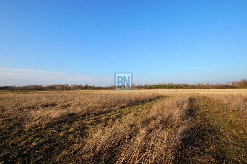 Działka usługowa Pyskowice sprzedam