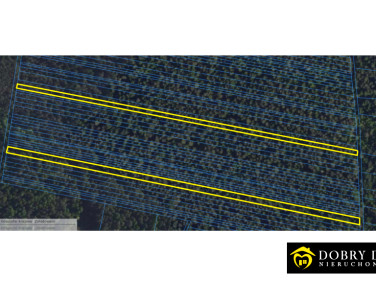 Działka leśna Achrymowce