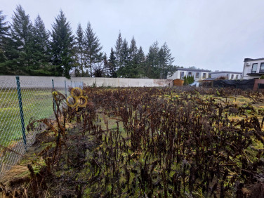 Działka inna Poznań