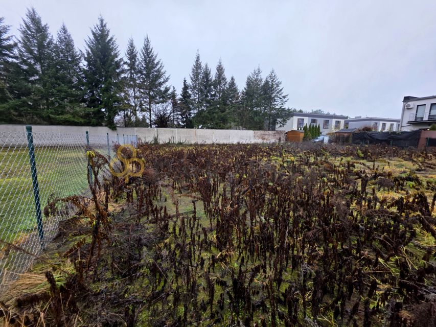 Działka inna Poznań