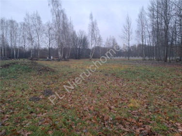 Działka budowlana Budy-Grzybek