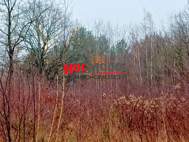 Działka budowlana Stasi Las