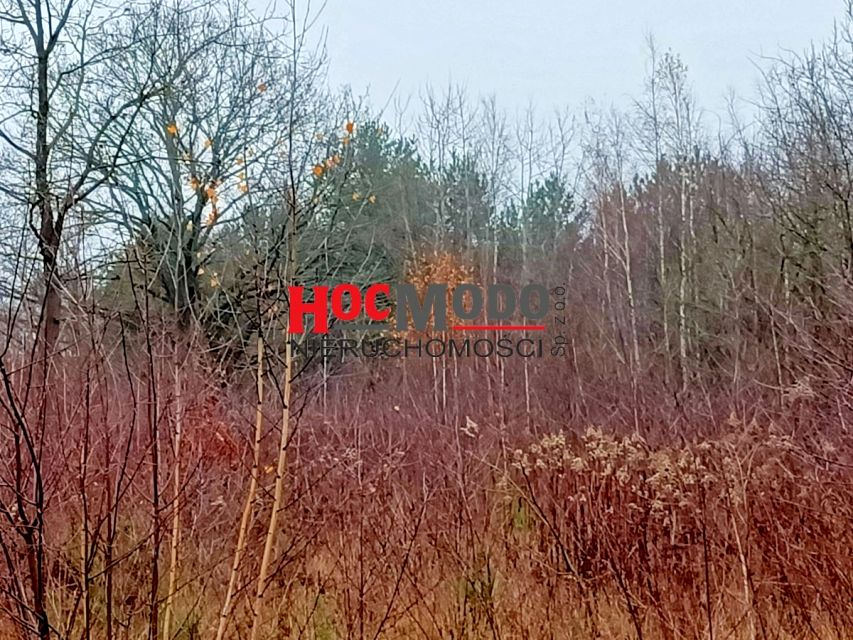 Działka budowlana Stasi Las