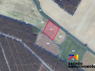 Działka rolna Bogaczów