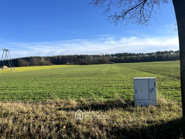 Działka przemysłowa Bolechowo