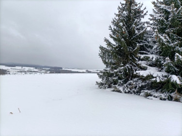 Działka Międzylesie