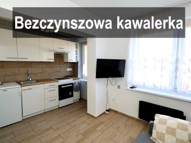 Mieszkanie Krzeczyn Wielki