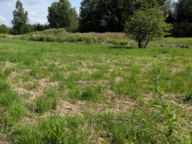 Działka budowlana Zaczernie sprzedam