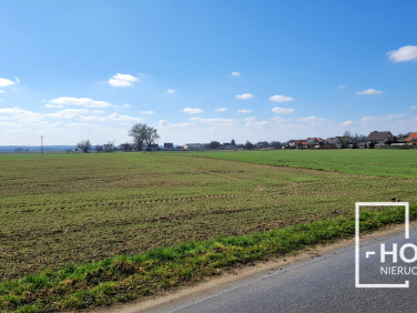 Działka Ceradz Kościelny