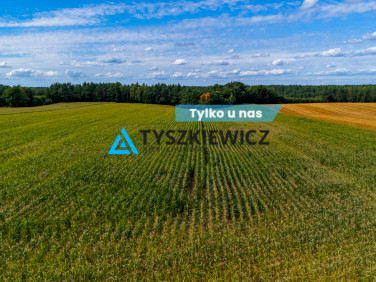 Działka rolna Lisewo