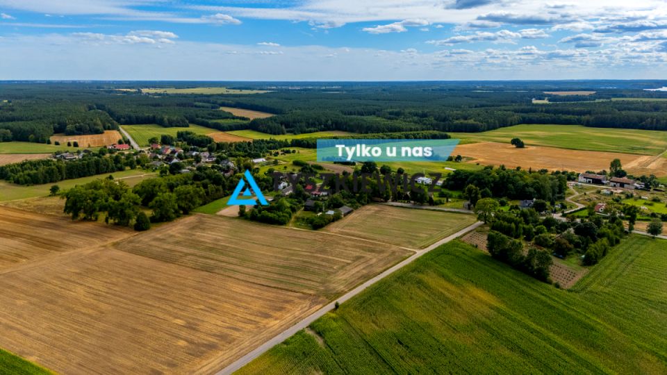 Działka rolna Lisewo