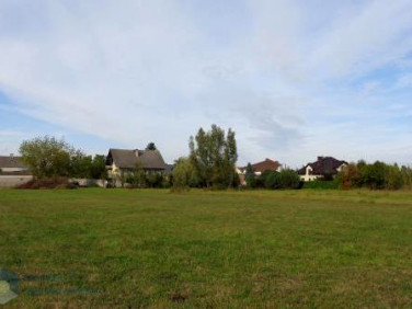 Działka budowlana Małocice