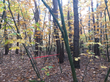 Działka budowlana Warszawa